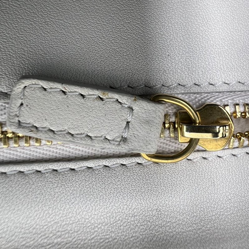 CÉLINE 蟒蛇皮手拿包-13