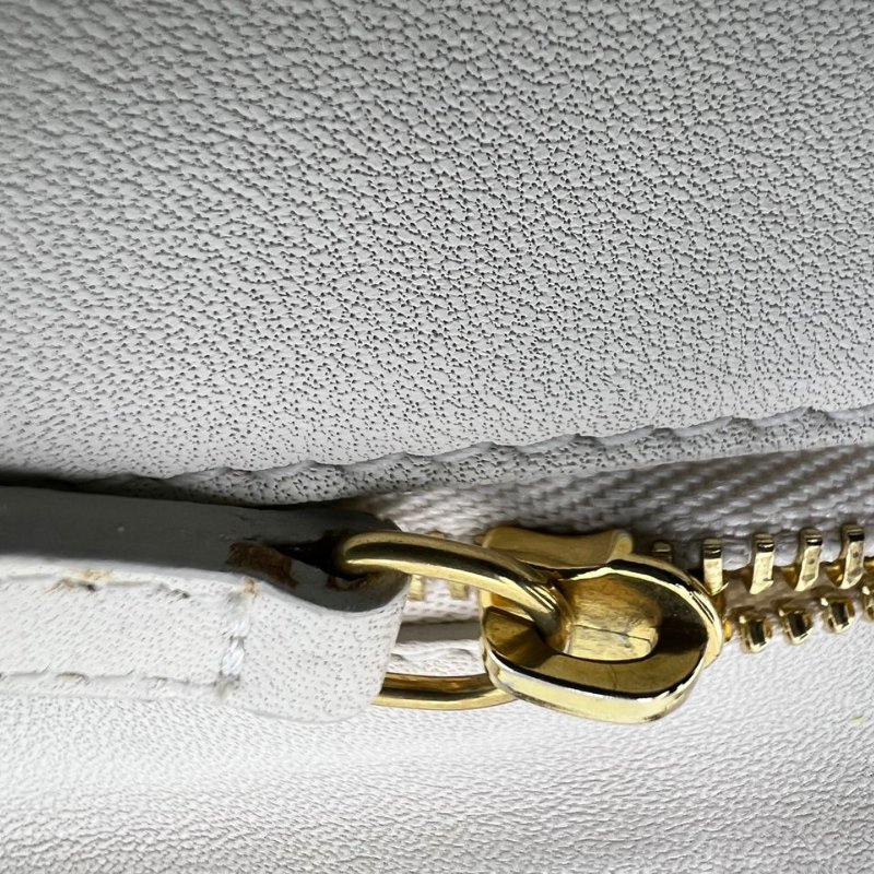 CÉLINE 蟒蛇皮手拿包-15