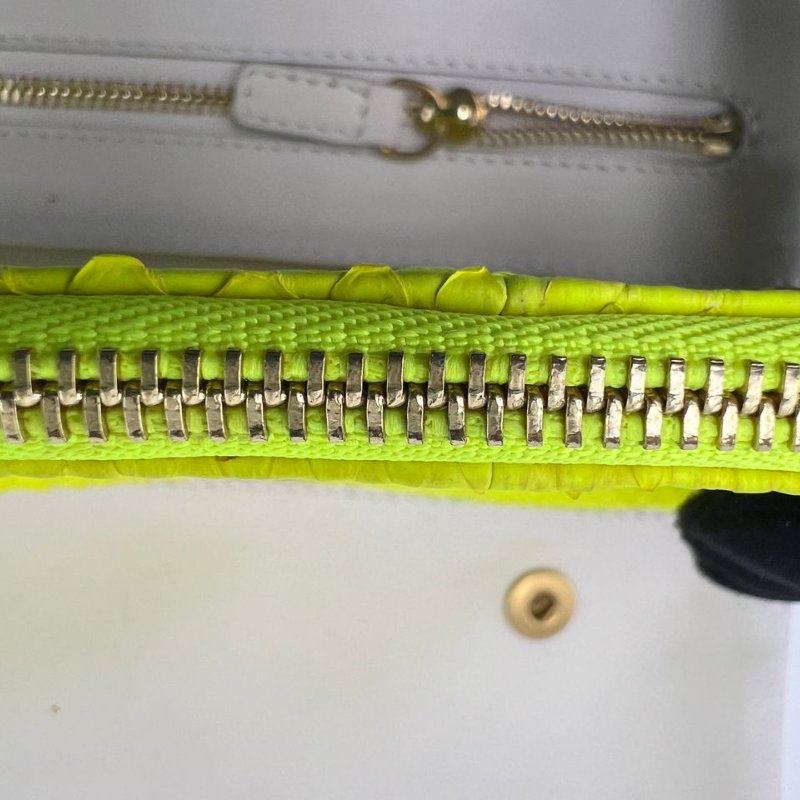 CÉLINE 蟒蛇皮手拿包-16