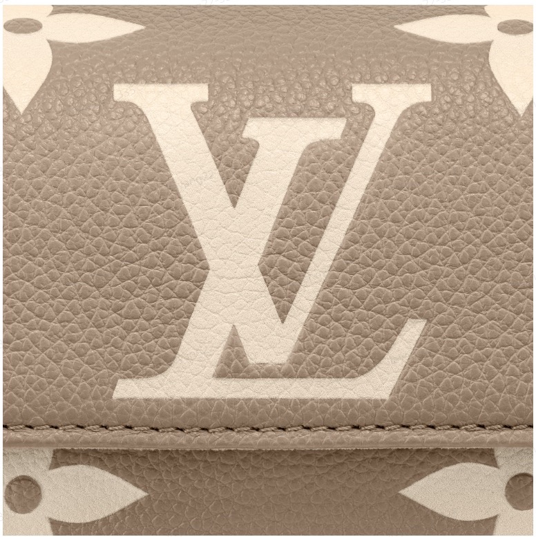 Louis Vuitton 女士 IVY鏈條單肩包均碼碼23.5cm*4.3cm*12cm-2