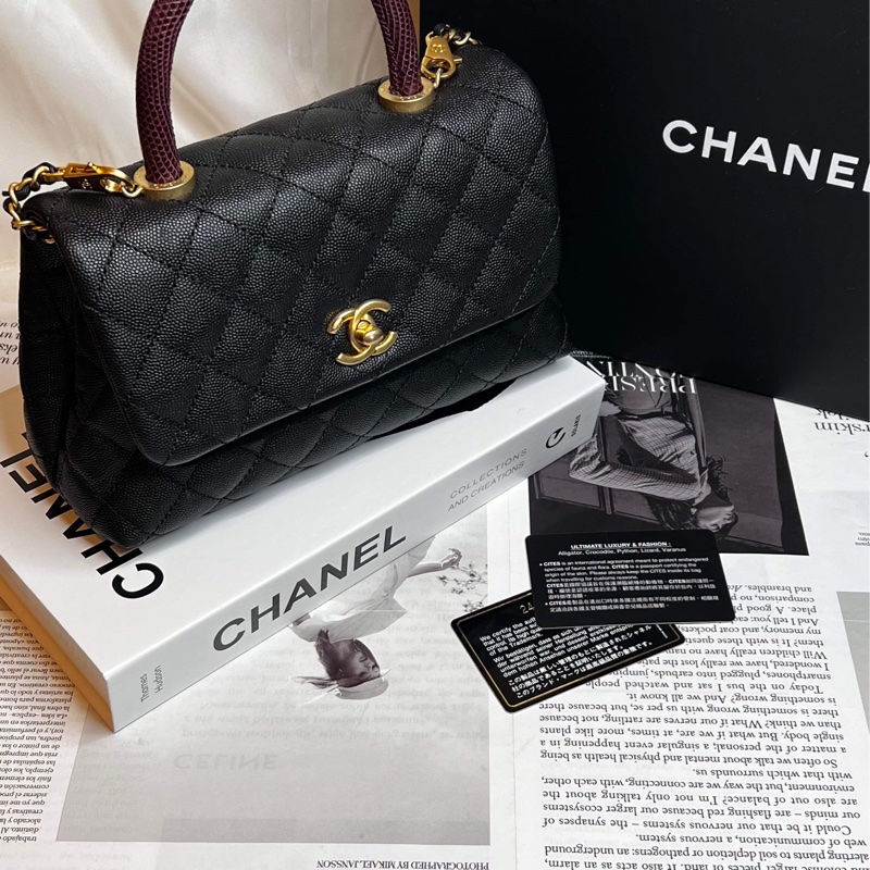 香奈兒(Chanel)Coco Handle蜥蜴皮24黃金尺寸-0