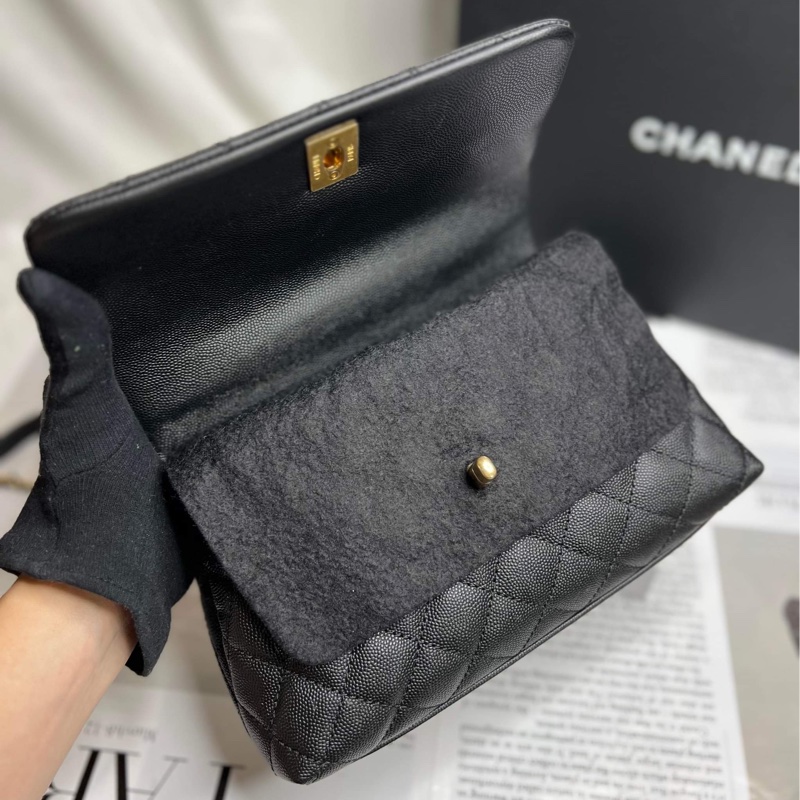 香奈兒(Chanel)Coco Handle蜥蜴皮24黃金尺寸-7