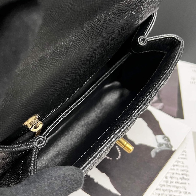 香奈兒(Chanel)Coco Handle蜥蜴皮24黃金尺寸-8