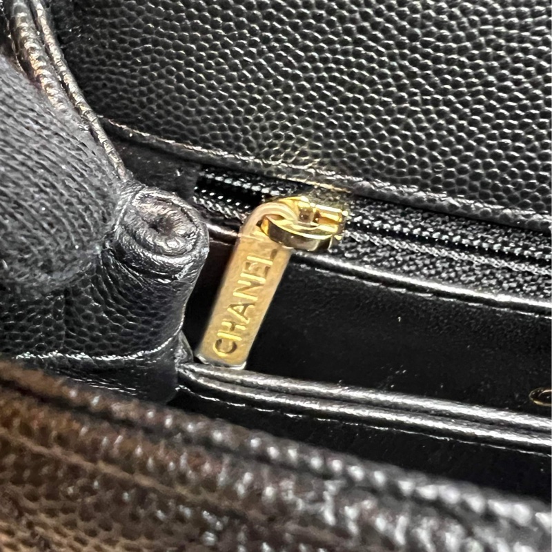 香奈兒(Chanel)Coco Handle蜥蜴皮24黃金尺寸-9