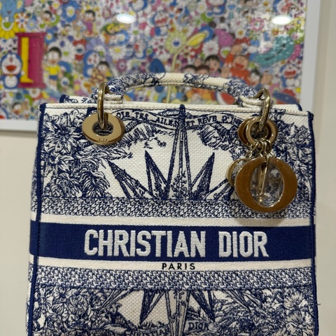 Dior戴妃手提包芯片款