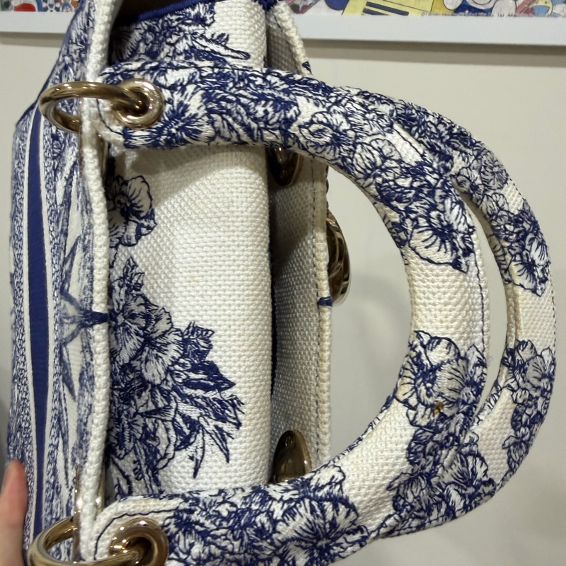 Dior戴妃手提包芯片款-5