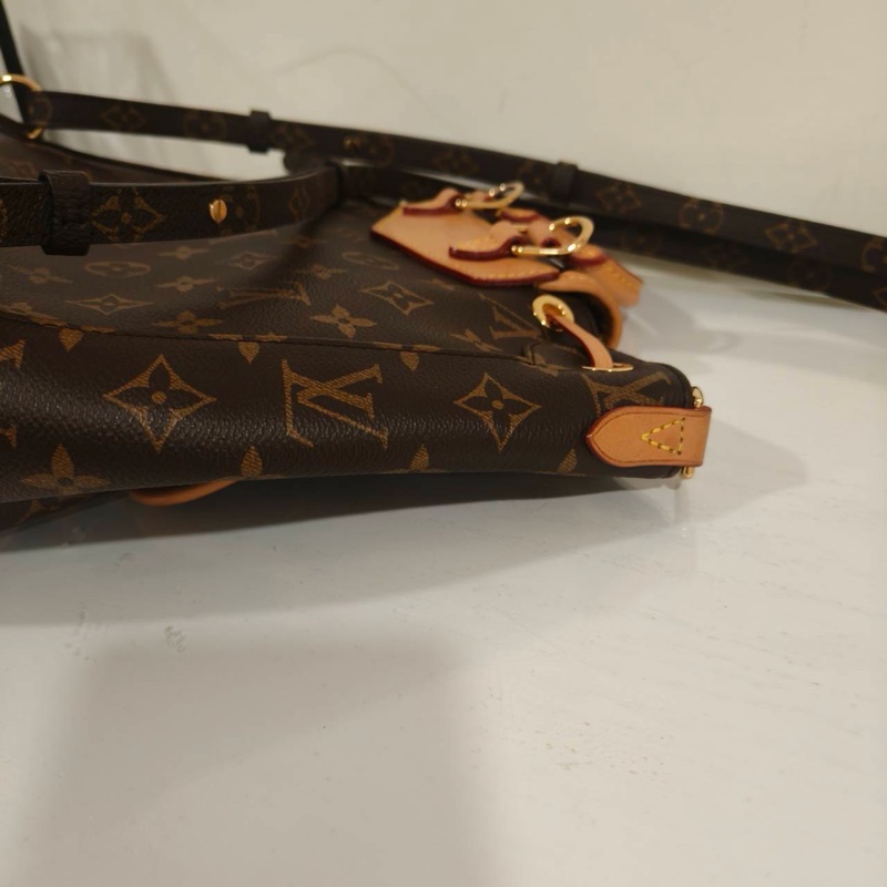 大全配🈶購證❤️ lv #新款 老花 #雙肩包 #後背包 #鏈條款-5