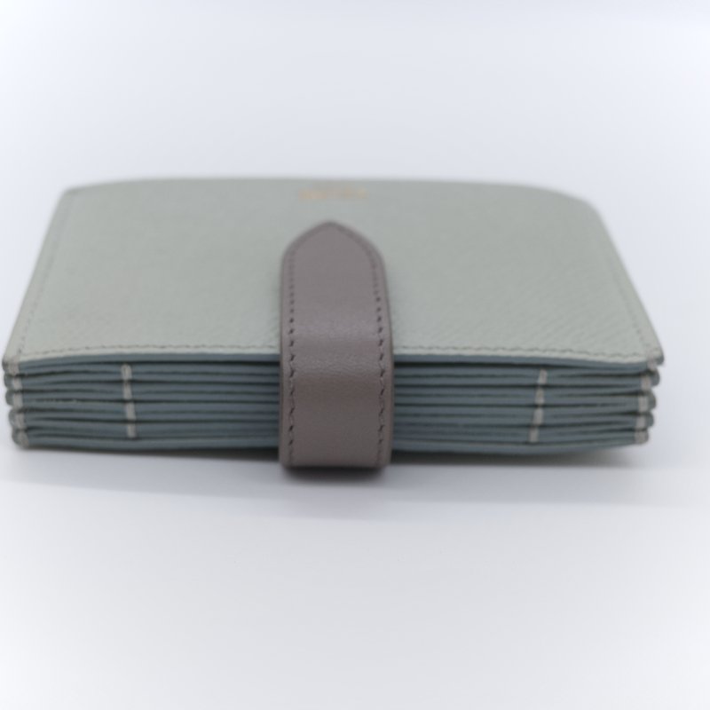 Celine 思琳 Small Strap 拼色 顆粒紋小牛皮 雙色風琴卡夾-7