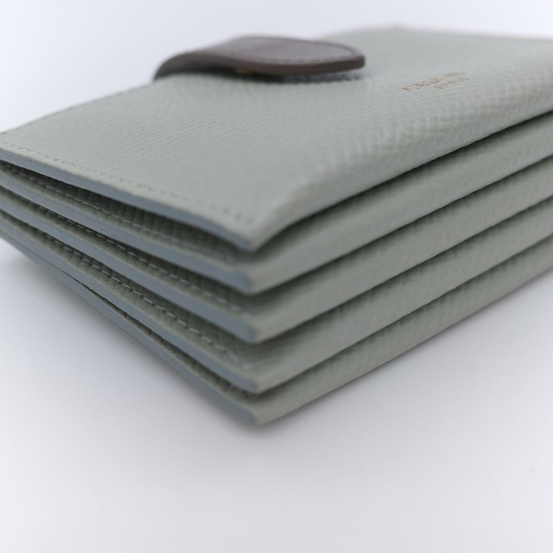 Celine 思琳 Small Strap 拼色 顆粒紋小牛皮 雙色風琴卡夾-8