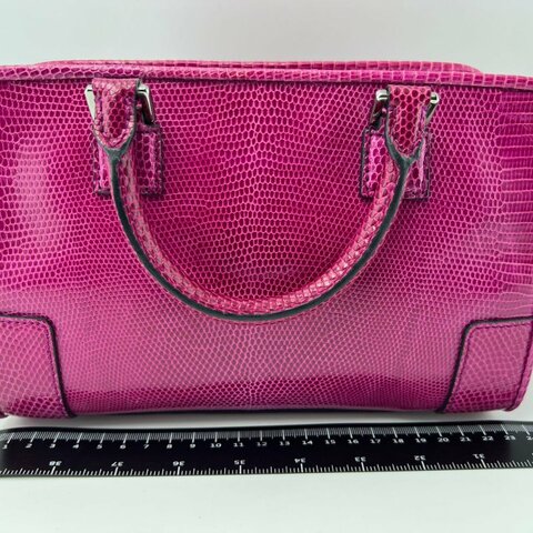 LOEWE 蜥蜴皮手提包