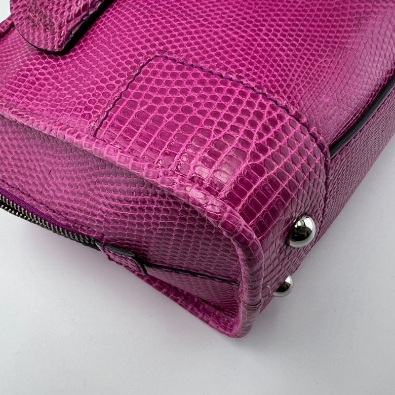 LOEWE 蜥蜴皮手提包-13