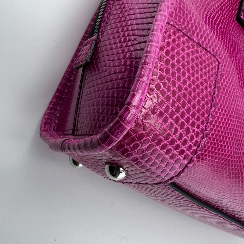 LOEWE 蜥蜴皮手提包-14