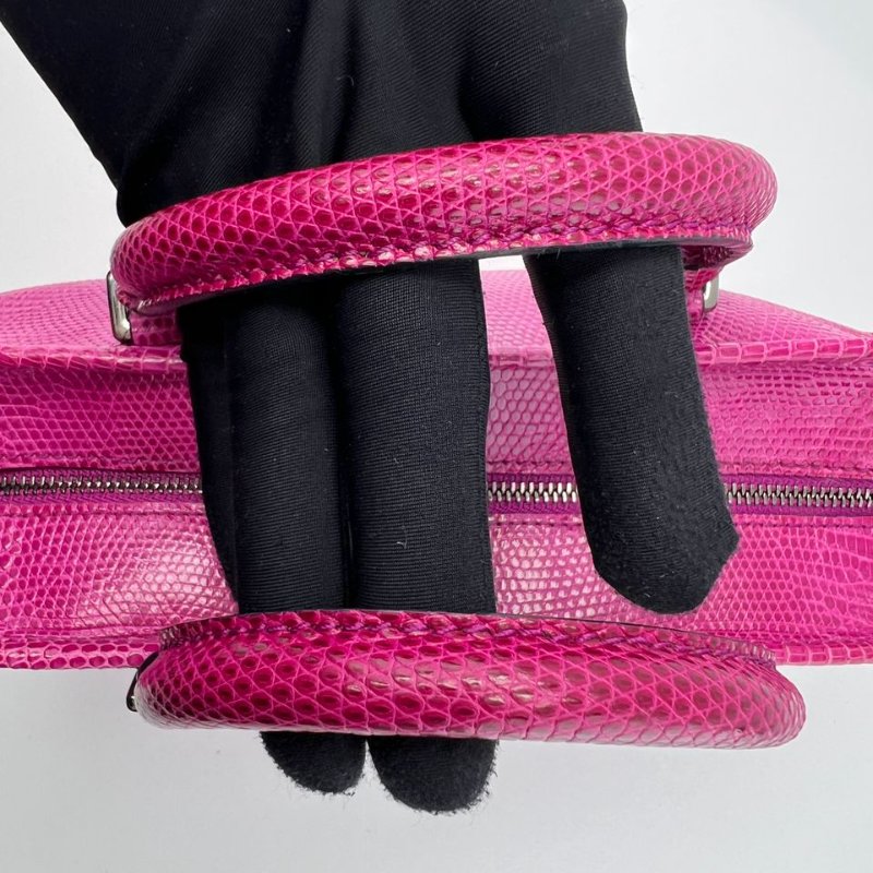 LOEWE 蜥蜴皮手提包-27