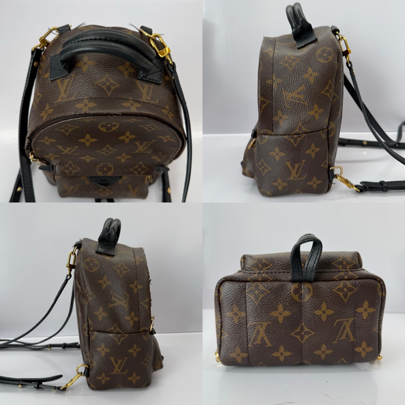 LOUIS VUITTON 路易威登 MONOGRAM 老花 PALM SPRINGS MINI 後背包 M41562-2