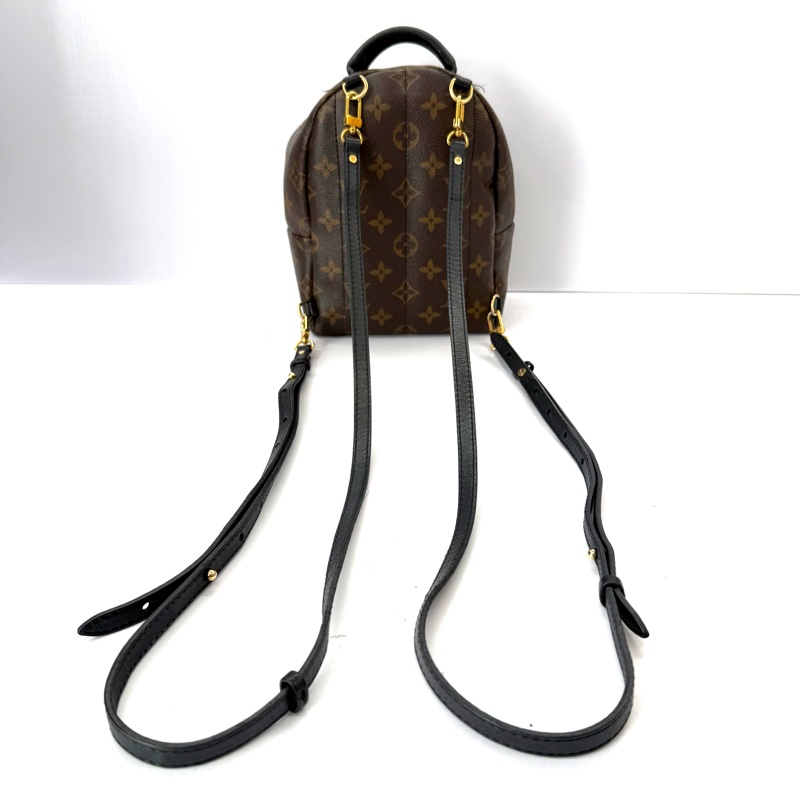 LOUIS VUITTON 路易威登 MONOGRAM 老花 PALM SPRINGS MINI 後背包 M41562-4