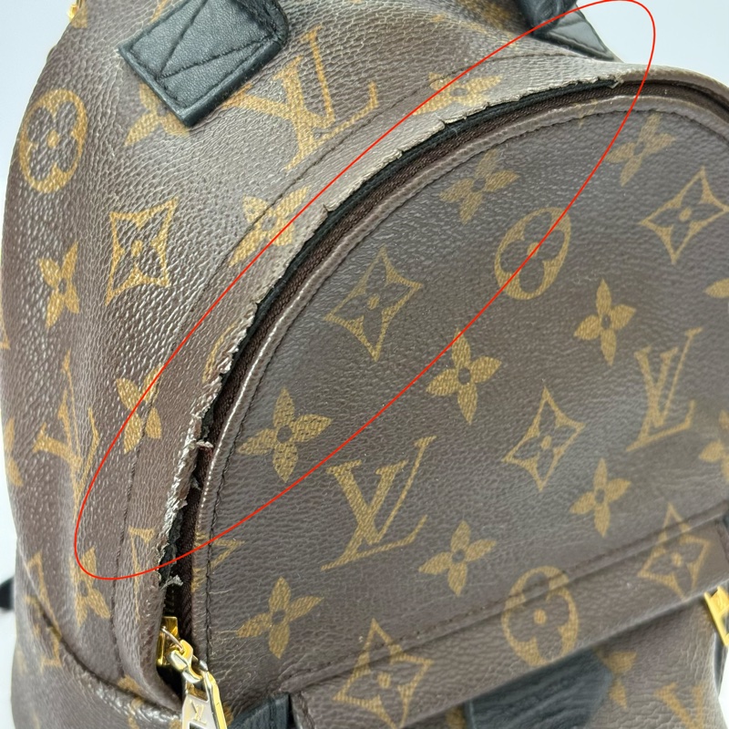LOUIS VUITTON 路易威登 MONOGRAM 老花 PALM SPRINGS MINI 後背包 M41562-7
