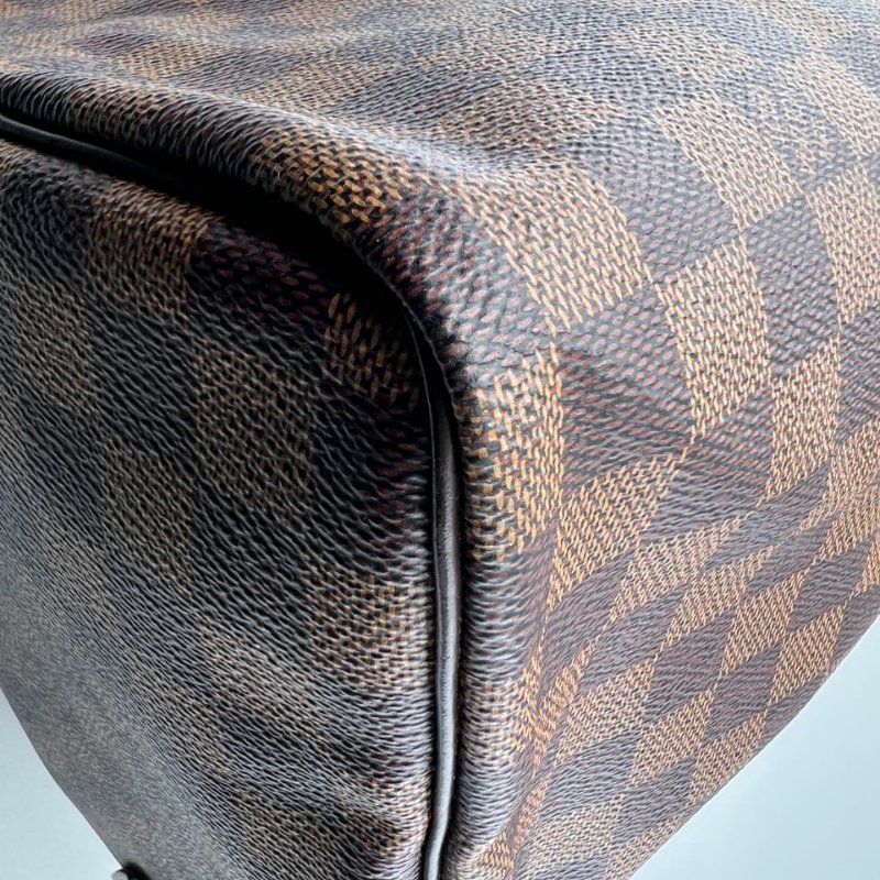 Louis Vuitton Speedy 棋盤格枕頭包-10