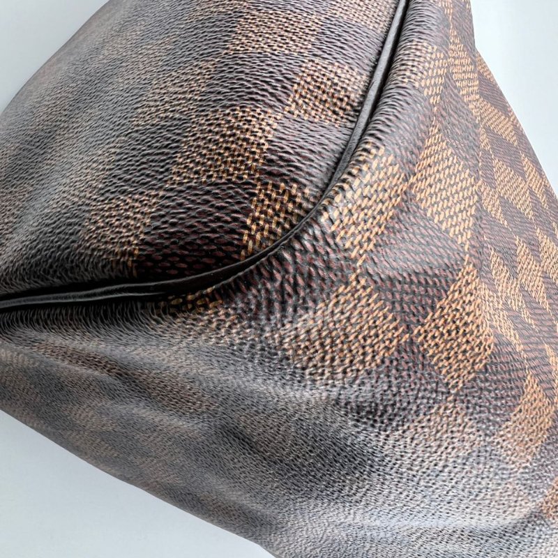 Louis Vuitton Speedy 棋盤格枕頭包-13