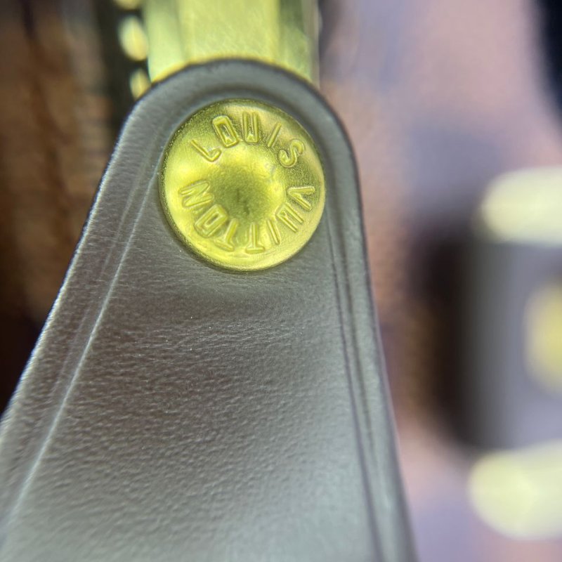 Louis Vuitton Speedy 棋盤格枕頭包-17