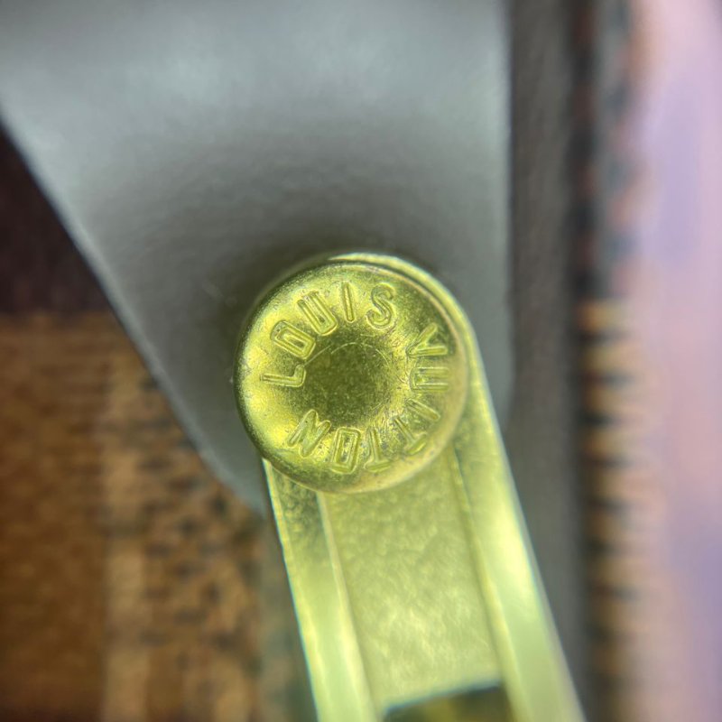 Louis Vuitton Speedy 棋盤格枕頭包-20