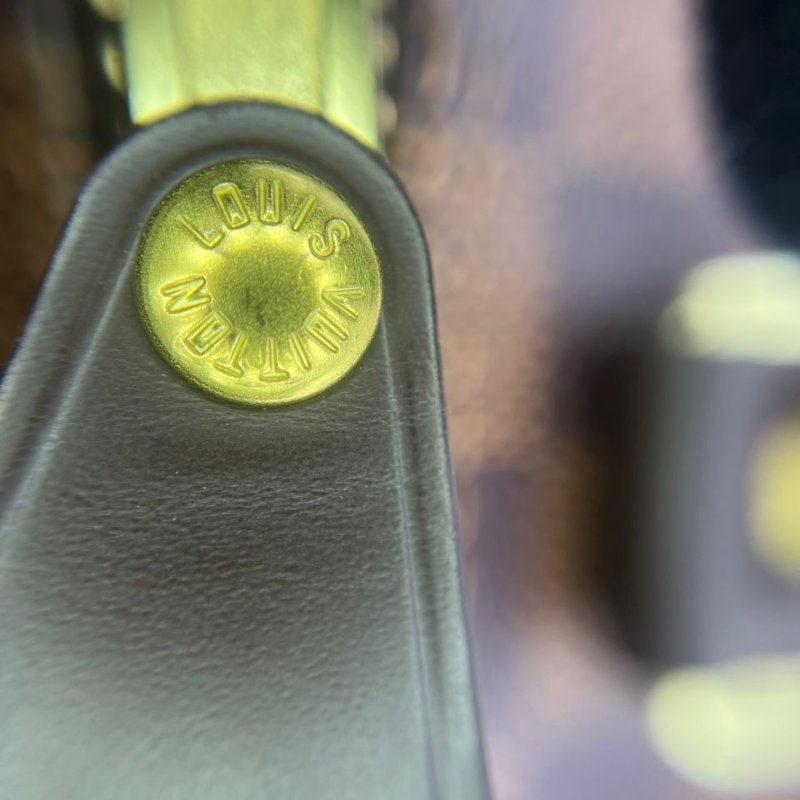 Louis Vuitton Speedy 棋盤格枕頭包-22