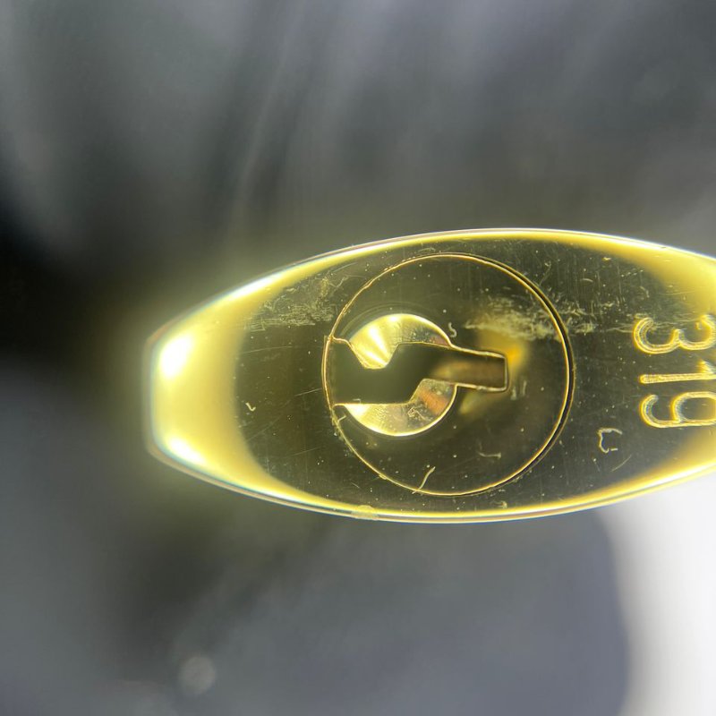 Louis Vuitton Speedy 棋盤格枕頭包-25