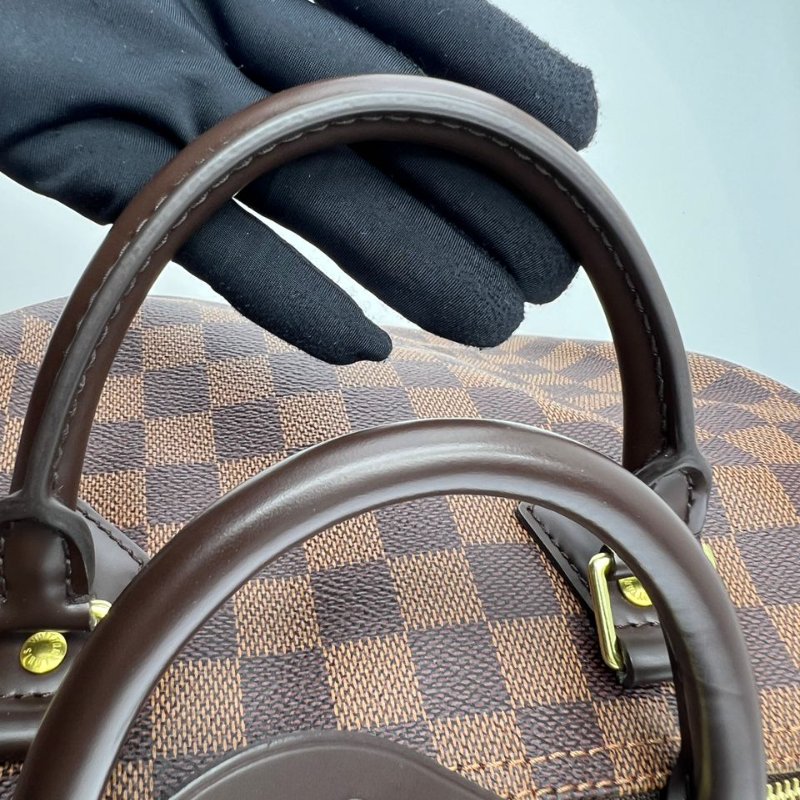 Louis Vuitton Speedy 棋盤格枕頭包-28
