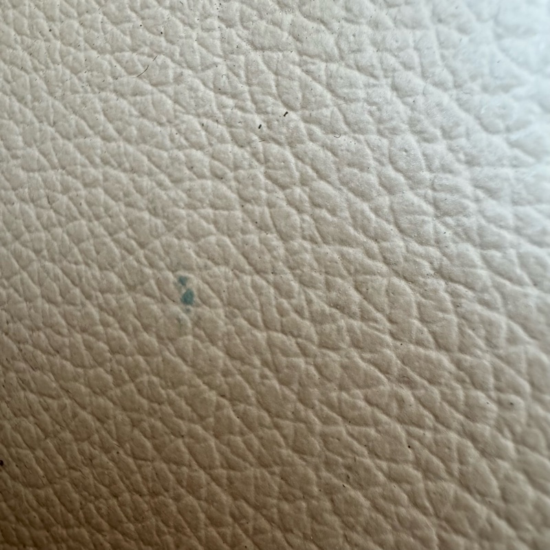 Louis Vuitton 經典 Monogram 帆布硬殼旅行箱-19