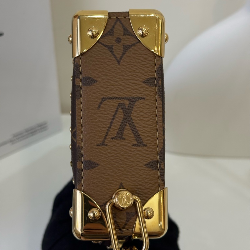 LV 2025 Slim Trunk 新款盒子包 ✨最新晶片款   專櫃十二萬-6