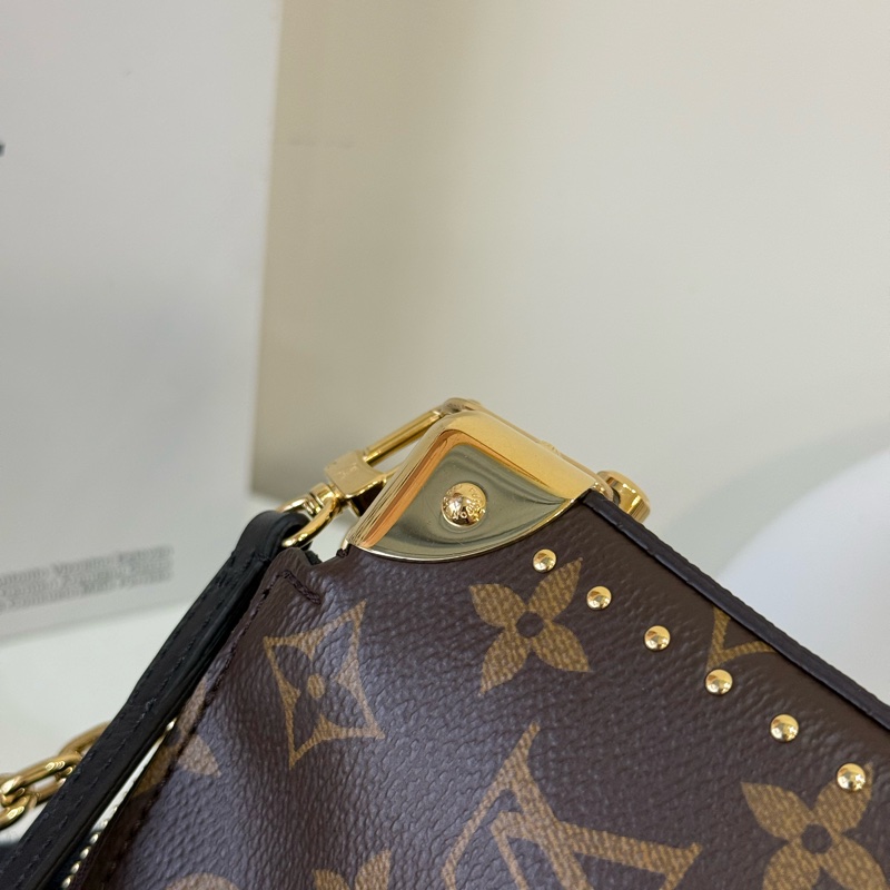 LV 2025 Slim Trunk 新款盒子包 ✨最新晶片款   專櫃十二萬-10