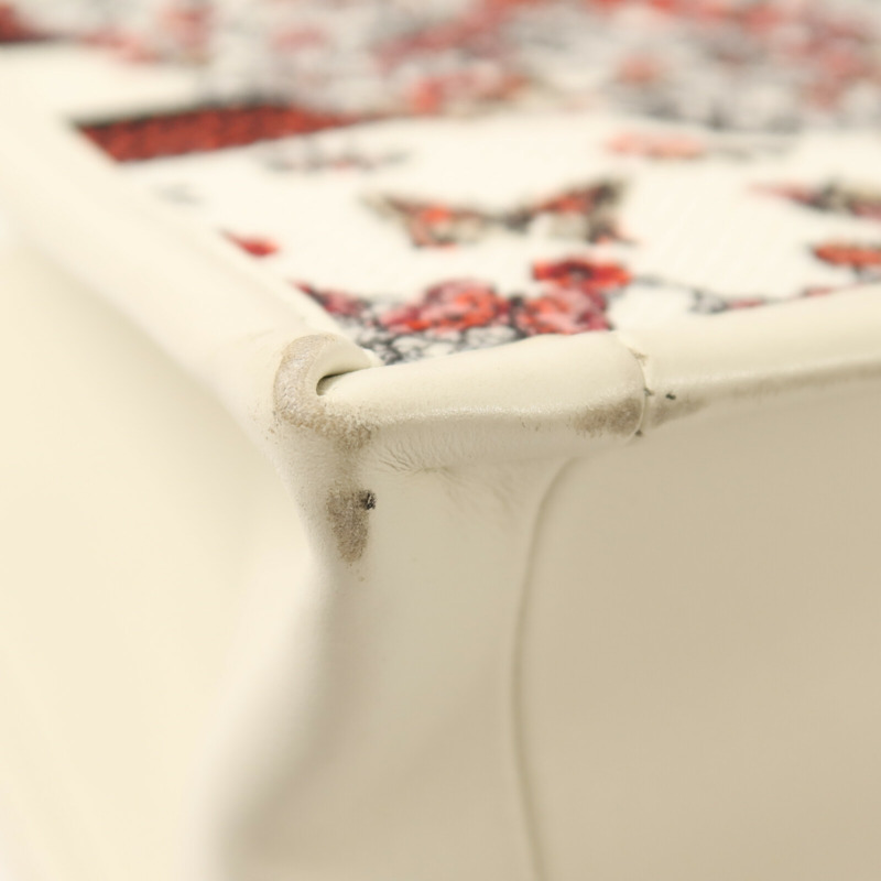 Dior 牛皮皮革/帆布Book Tote PM金扣手挽肩背兩用袋-12