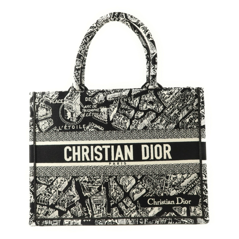 Dior 帆布Book Tote Medium手挽袋-0