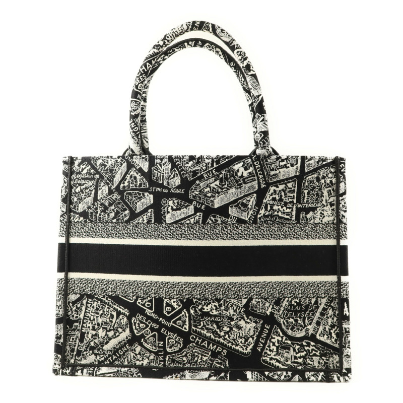 Dior 帆布Book Tote Medium手挽袋-1