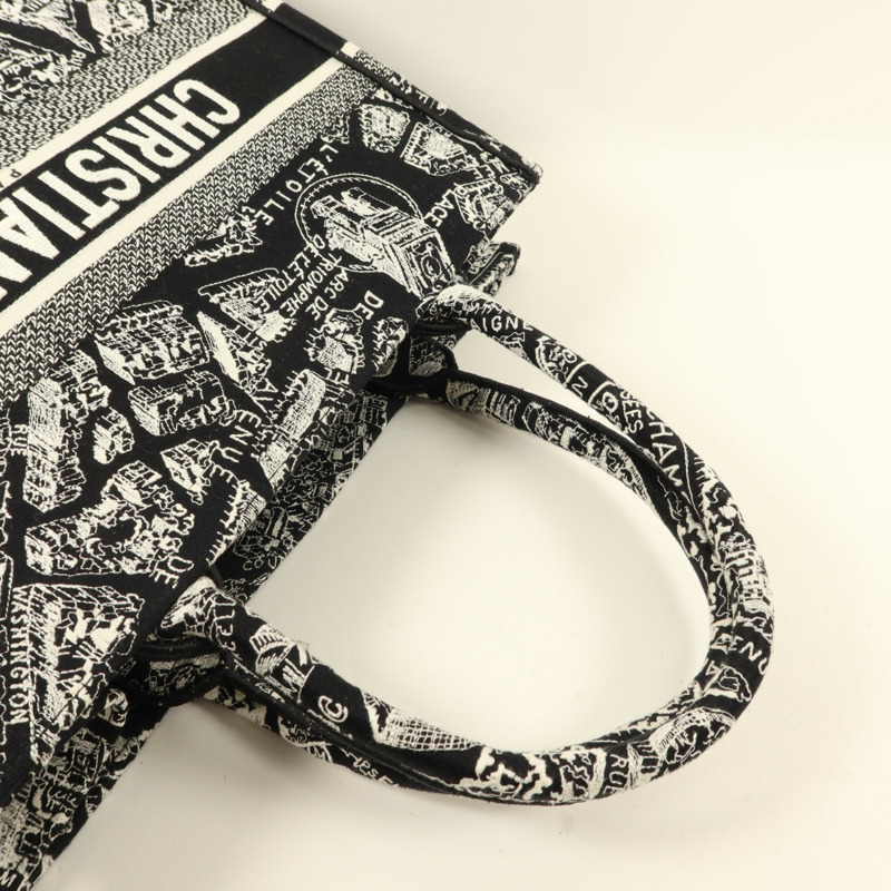 Dior 帆布Book Tote Medium手挽袋-4