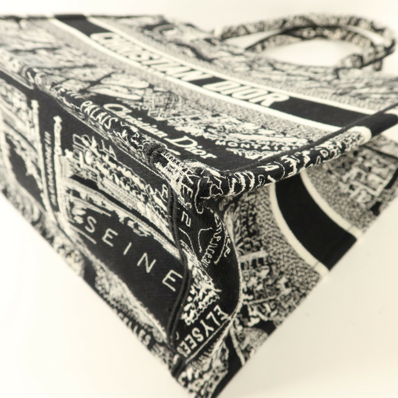 Dior 帆布Book Tote Medium手挽袋-9