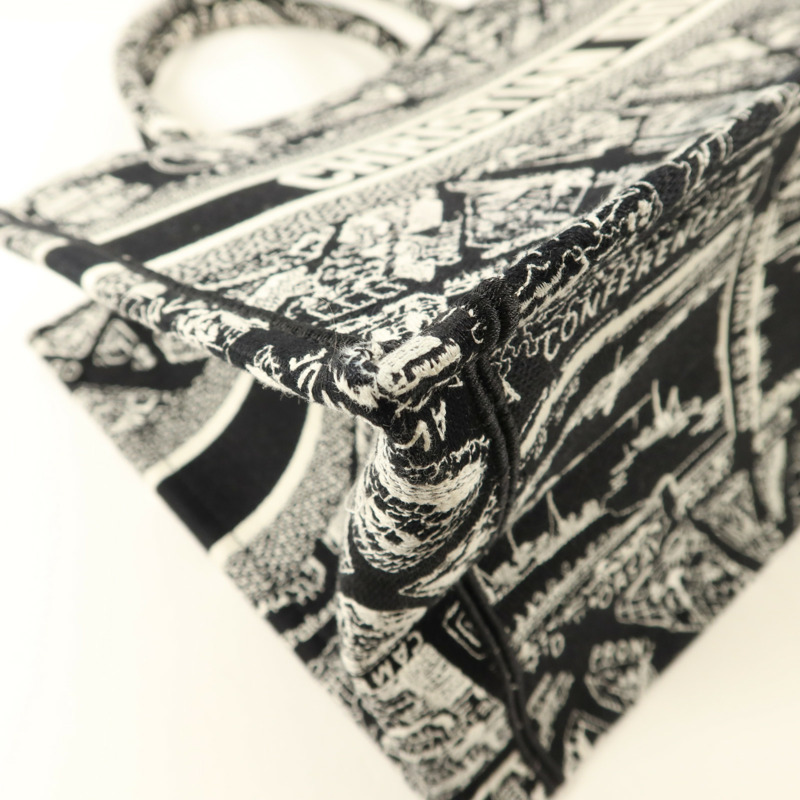 Dior 帆布Book Tote Medium手挽袋-10