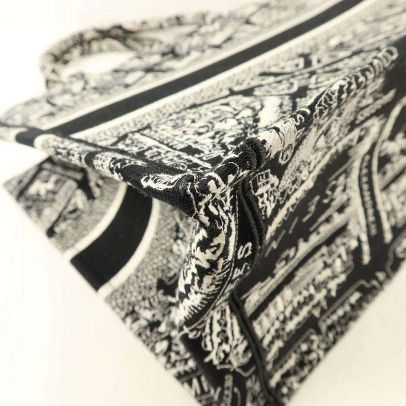 Dior 帆布Book Tote Medium手挽袋-12