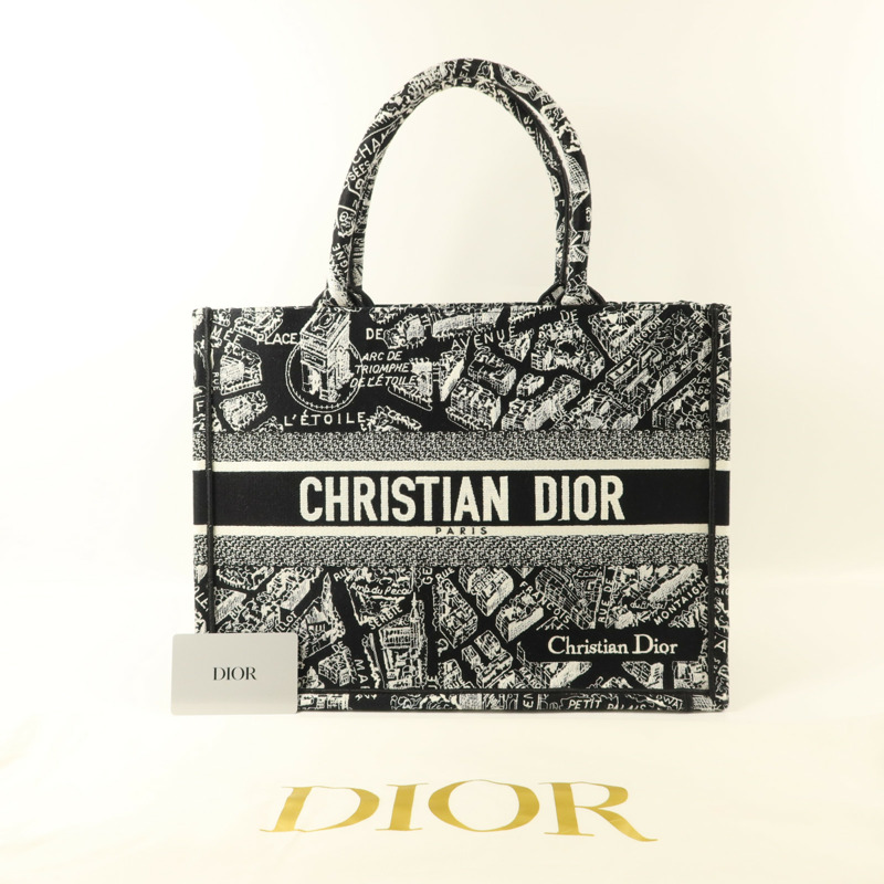 Dior 帆布Book Tote Medium手挽袋-13