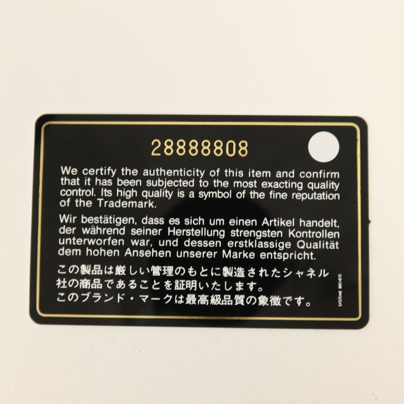 CHANEL 牛皮皮革Wallet On Chain金扣鏈帶肩背袋-10