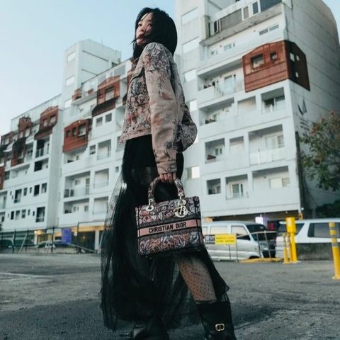 DIOR 魔法花園刺繡帆布五格 黛妃肩背斜背包24*20*12 98新配件肩帶 塵袋