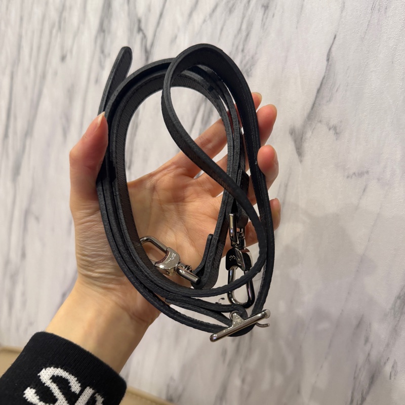 🈶肩帶❤️ longchamp #龍驤 #餃子包 #限量款 #mini-16