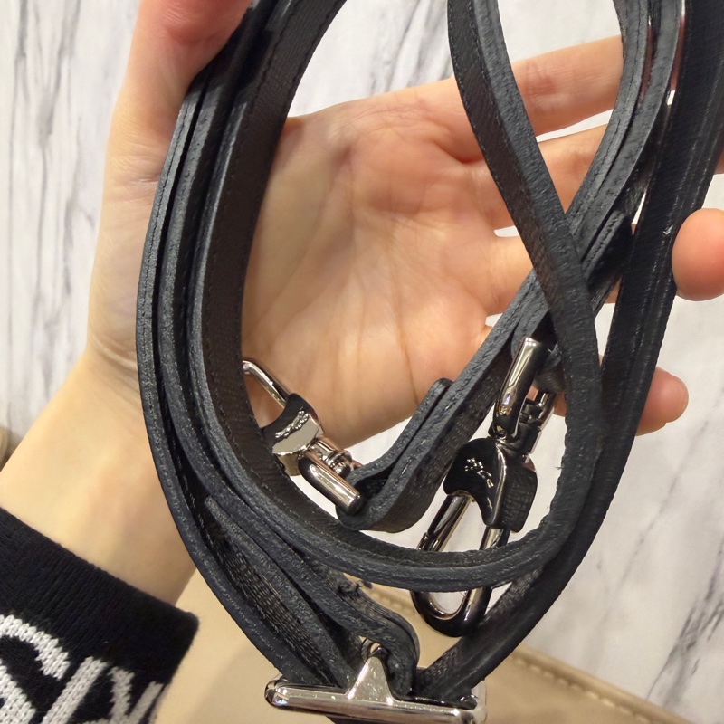 🈶肩帶❤️ longchamp #龍驤 #餃子包 #限量款 #mini-17