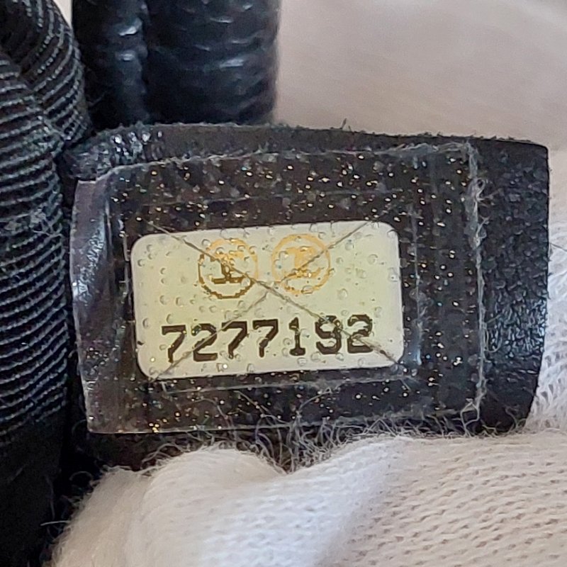 CHANEL 香奈兒 Vintage🎀現品實拍🎀絕版 希爾頓 (銀)金幣包 ~二手經典款-64