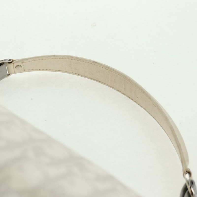 【日本直送】Christian Dior Trotter帆布浪漫手袋 PVC 白色銀色 正品 168346V-8