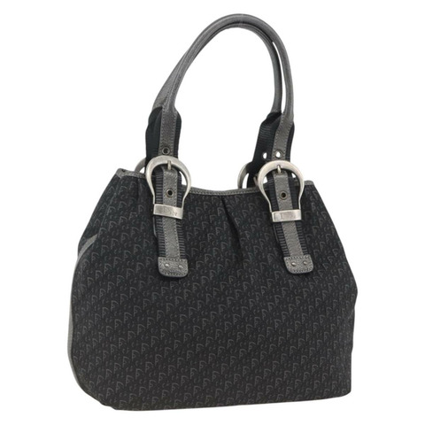 Christian Dior Trotter帆布手提包 黑色銀色 正品 BSZ265SAV