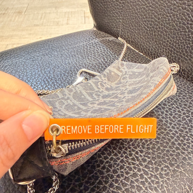 Dior 郵差飛行包-12