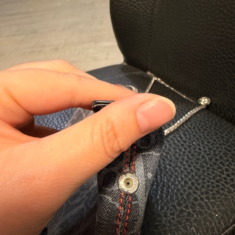 Dior 郵差飛行包-19