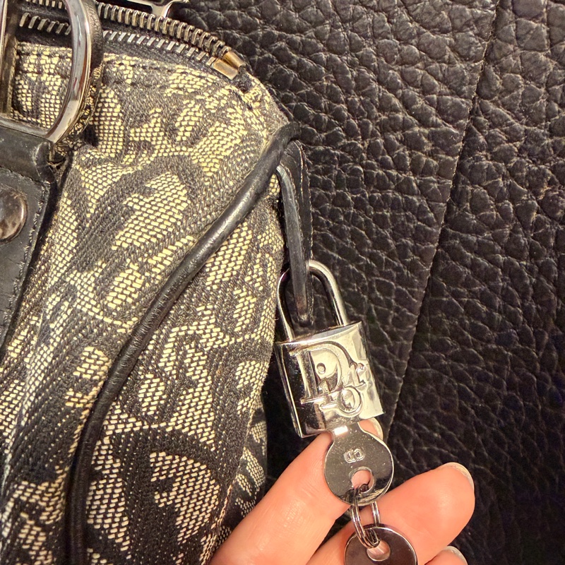Dior 帆布黑色波士頓手提包-10