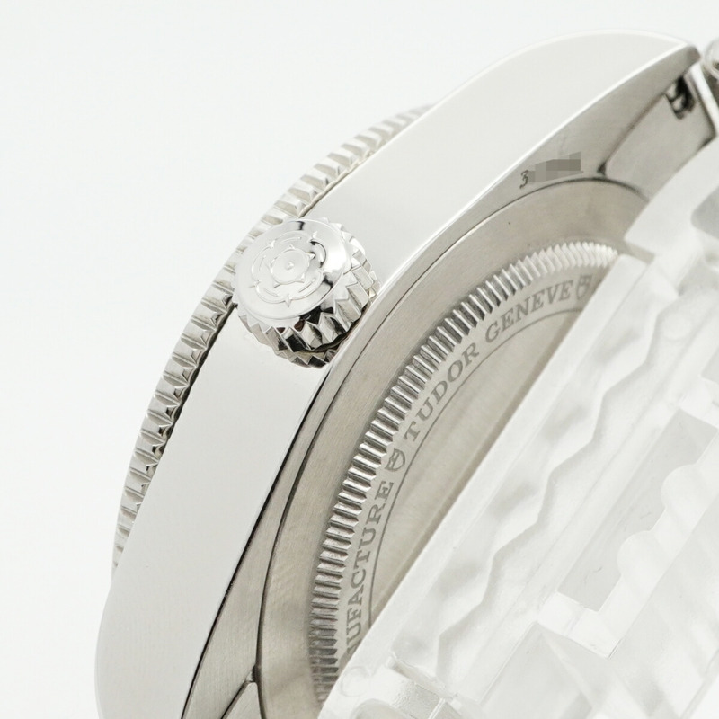 帝舵碧灣系列 7939G1A0NRU 錶盤男士腕錶-8