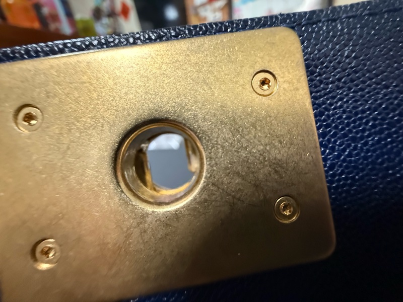 香奈兒boy20 籃金荔枝-11